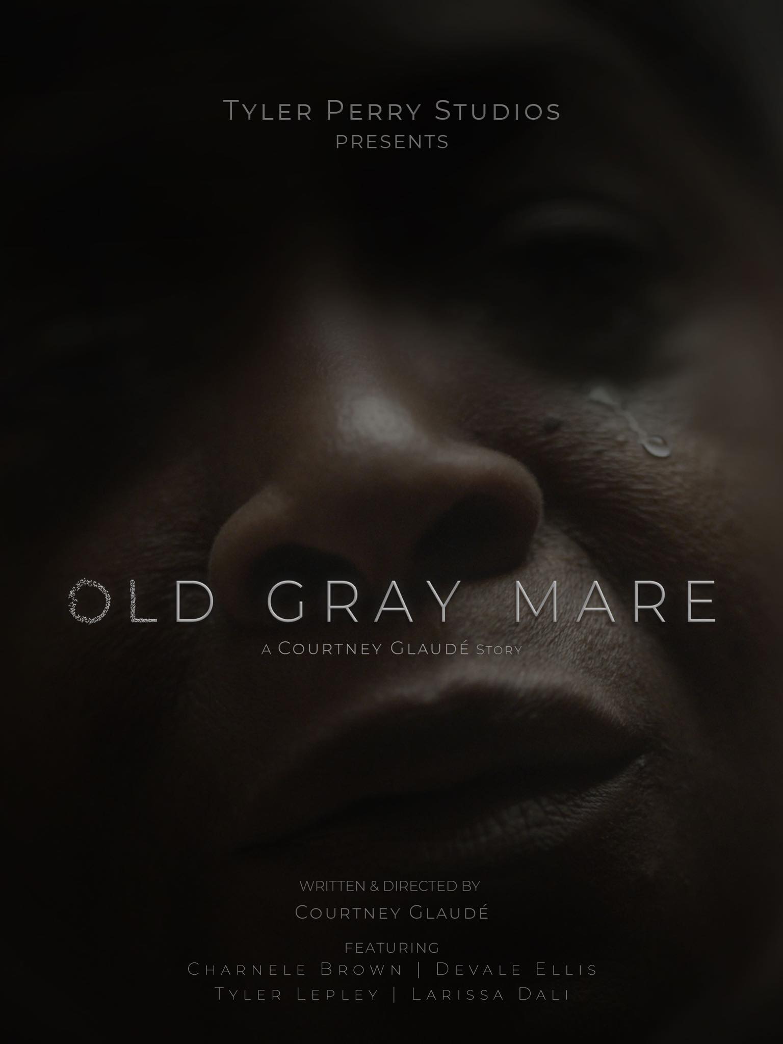 Old Gray Mare poster
